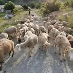 La Peyregoune, En Pleine Nature Et Table D'hotes Oda ve Kahvaltı 3*