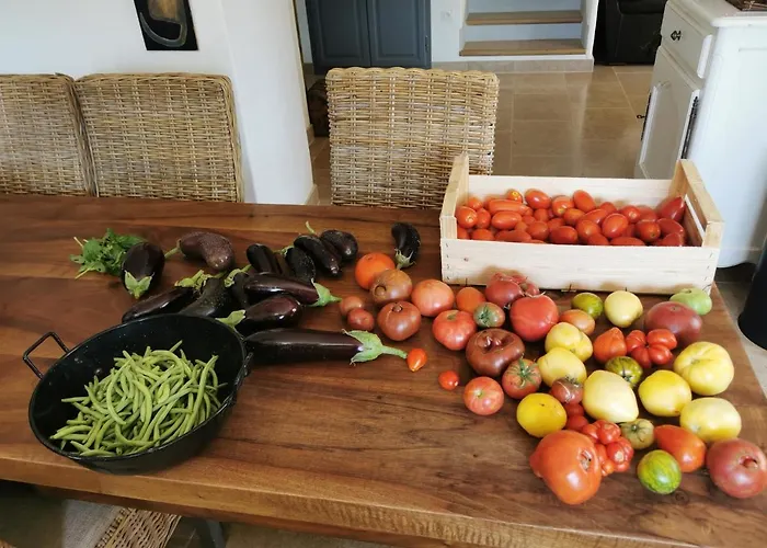 La Peyregoune, En Pleine Nature Et Table D'hotes