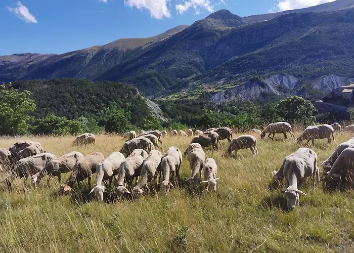 La Peyregoune, En Pleine Nature Et Table D'hotes Bed & Breakfast 3*