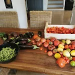 La Peyregoune, En Pleine Nature Et Table D'hôtes