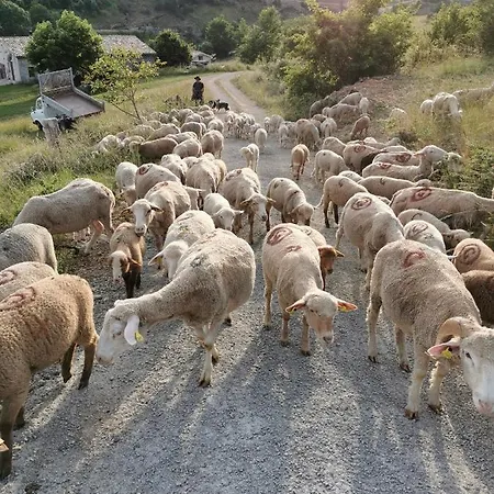La Peyregoune, En Pleine Nature Et Table D'hotes Nocleg ze śniadaniem 3*