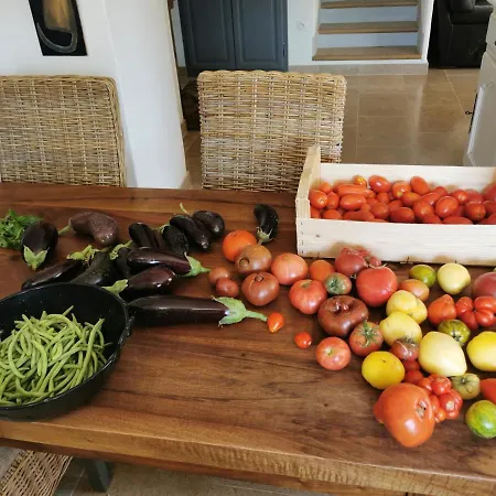 La Peyregoune, En Pleine Nature Et Table D'hôtes