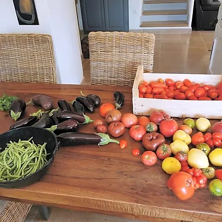 La Peyregoune, En Pleine Nature Et Table D'hotes Bed & Breakfast Blieux